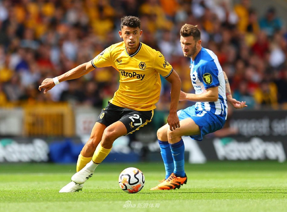 在这篇文章 在这篇文章